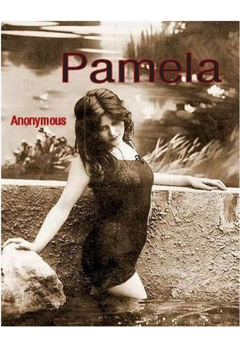 Книга Памела