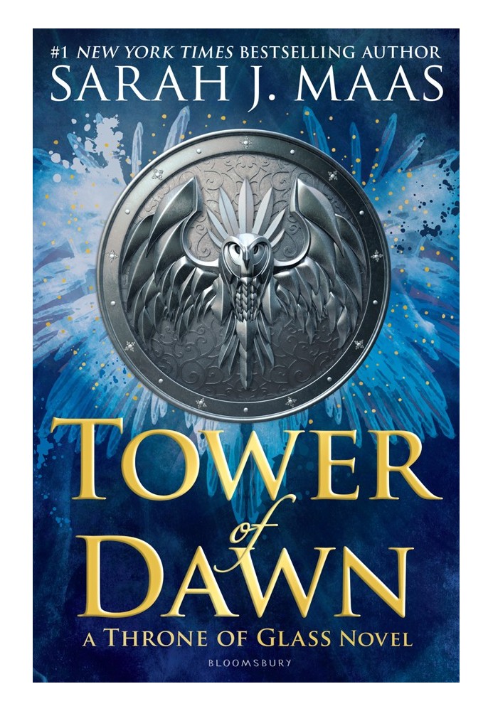 Book Tower of Dawn