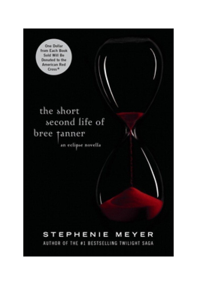 Книга Коротке друге життя Брі Таннер
