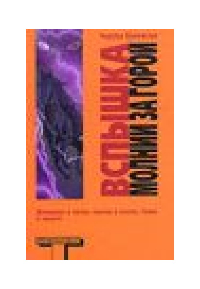 Книга Вспышка молнии за горой (The Flash of Lightning Behind the Mountain)