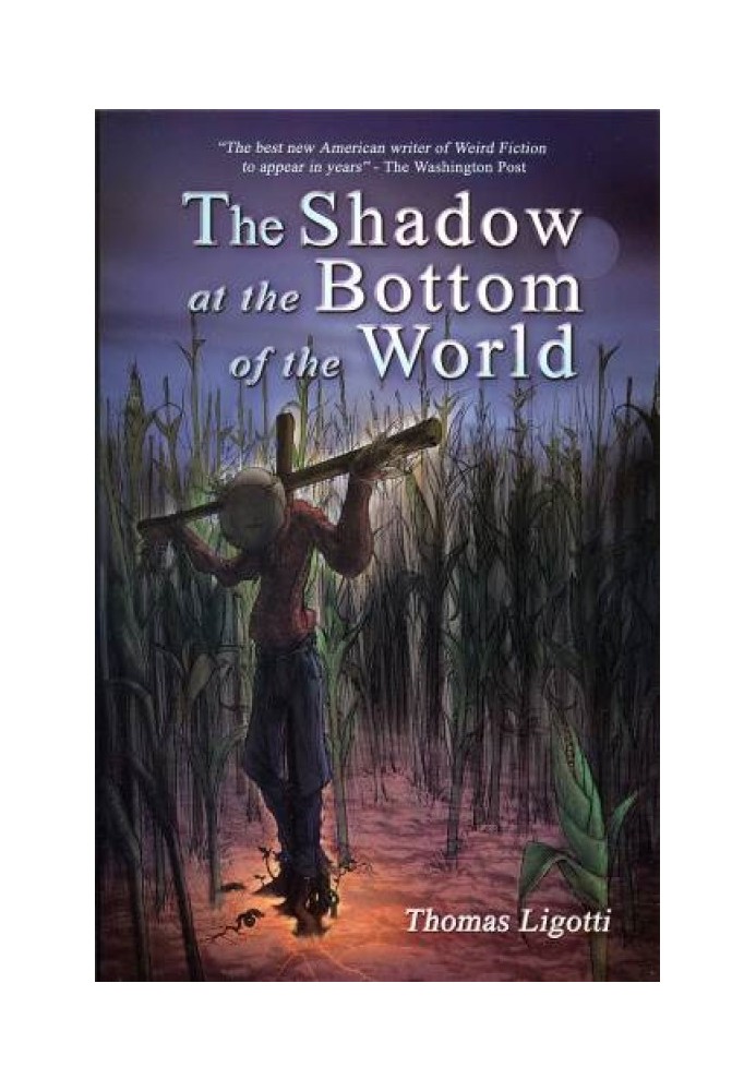 Book Shadow at the bottom of the world