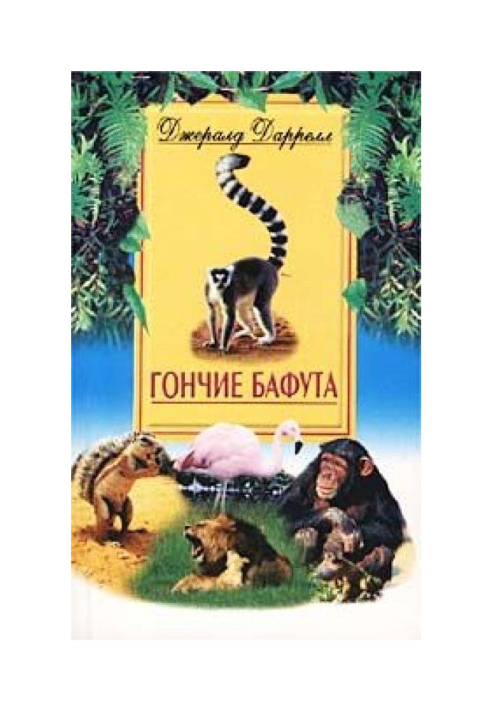 Книга Гончі Бафута