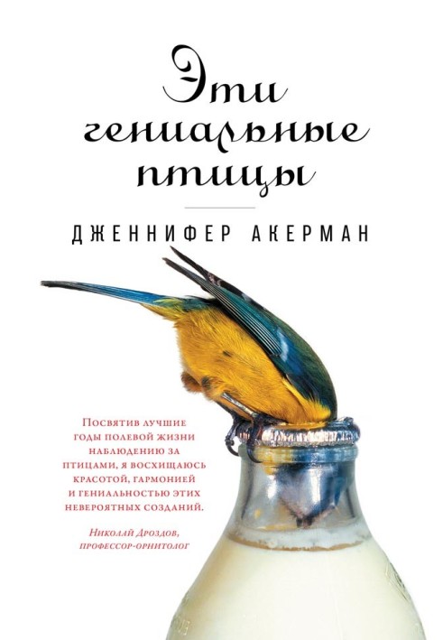 Book These brilliant birds