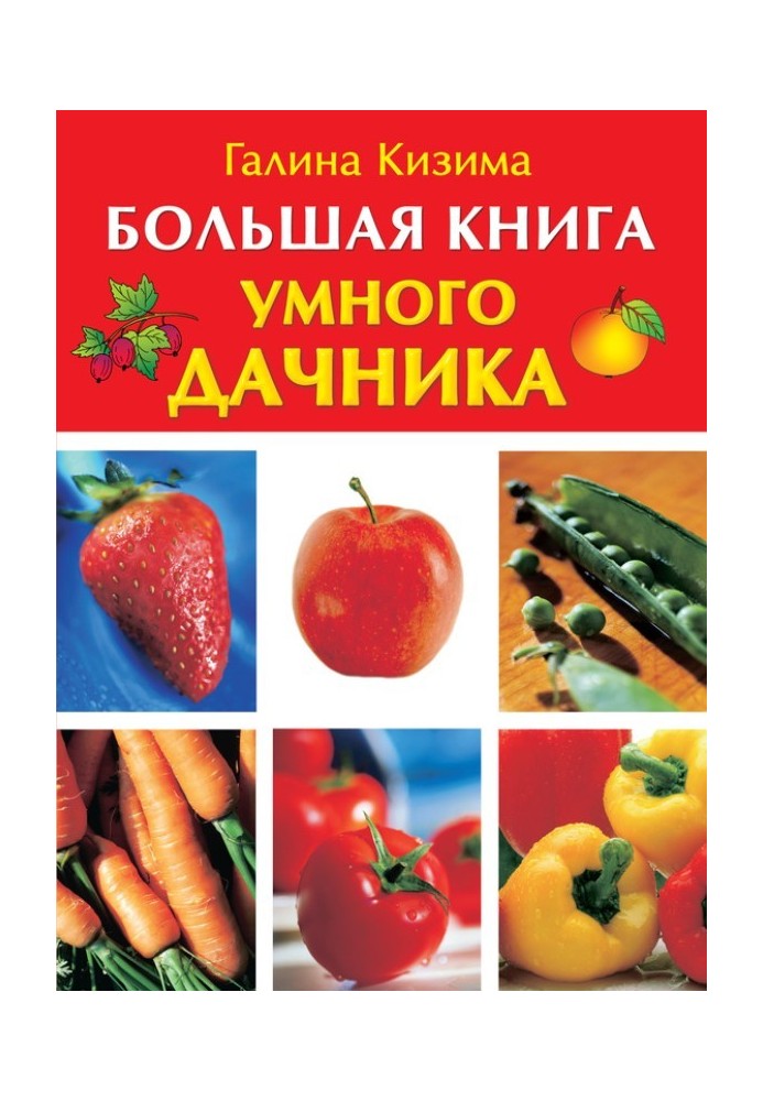 Книга Велика книга розумного дачника