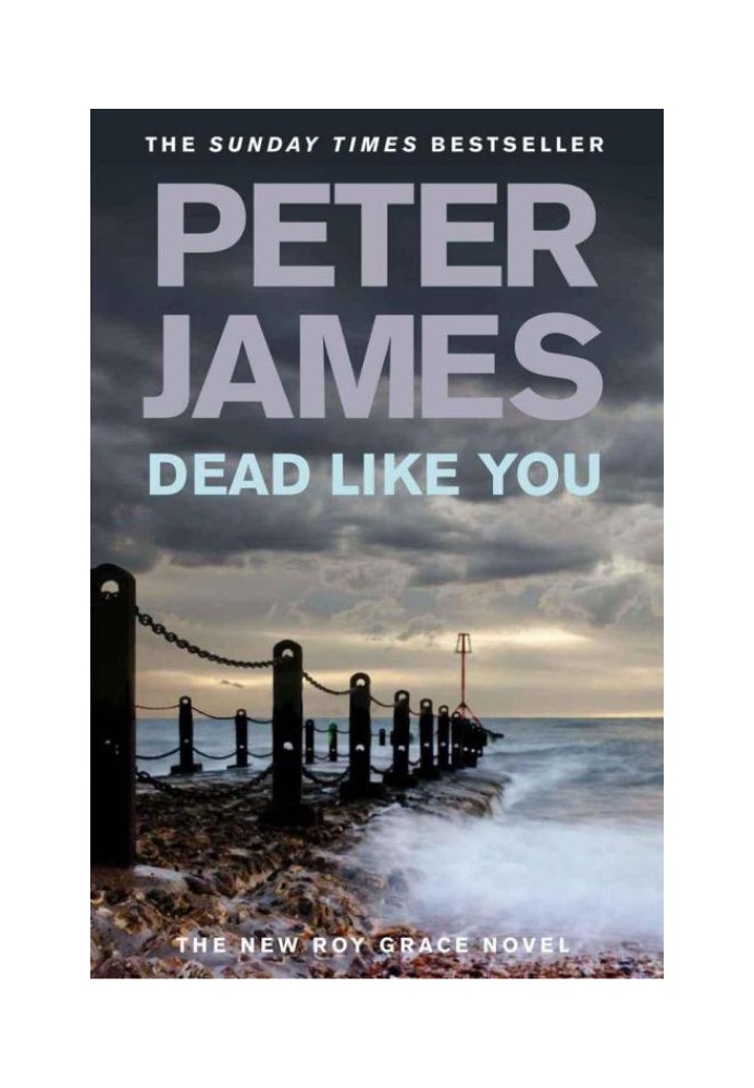 Book Dead Like You
