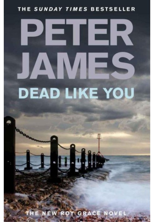 Book Dead Like You