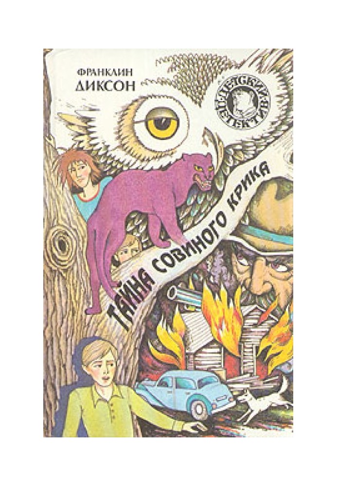 Книга Таємниця попелястих пірамідок