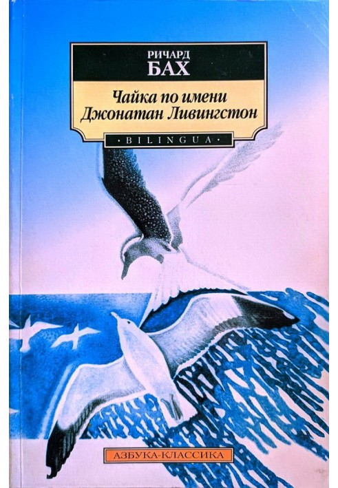 Book Seagull named Jonathan Livingston