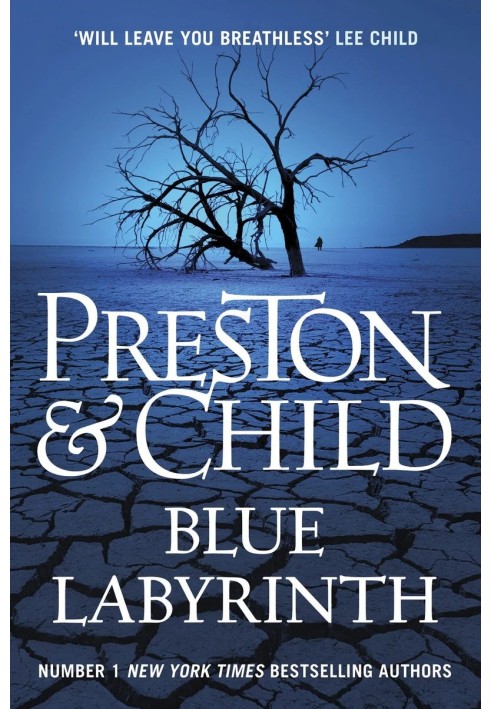 Book Blue Maze