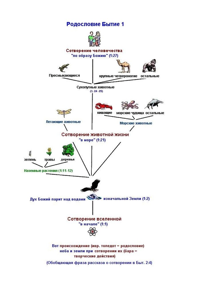 Book Life story. Creation and Evolution in the Bible and Natural History