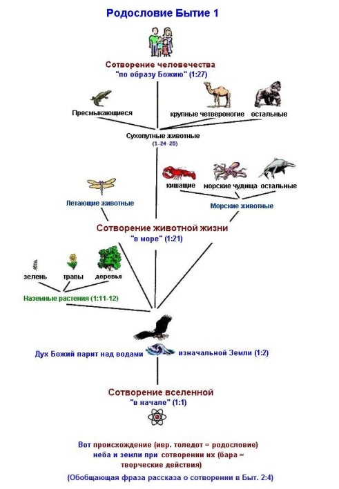Book Life story. Creation and Evolution in the Bible and Natural History