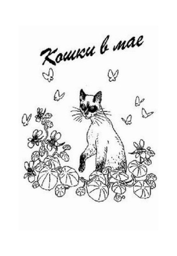 Book Cats in May