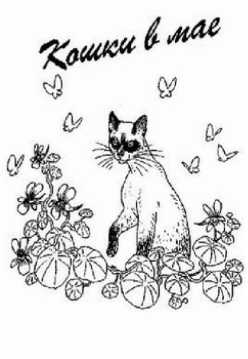 Book Cats in May