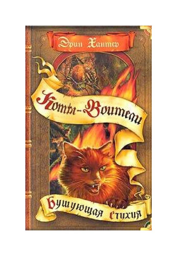 Book Raging elements