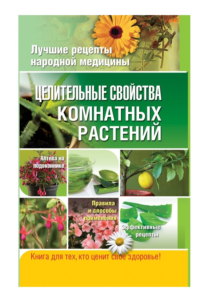 Книга Цілющі властивості кімнатних рослин