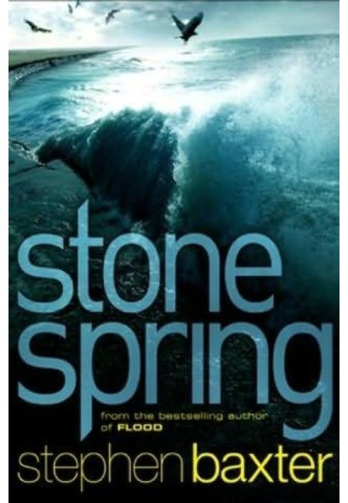 Book Stone spring