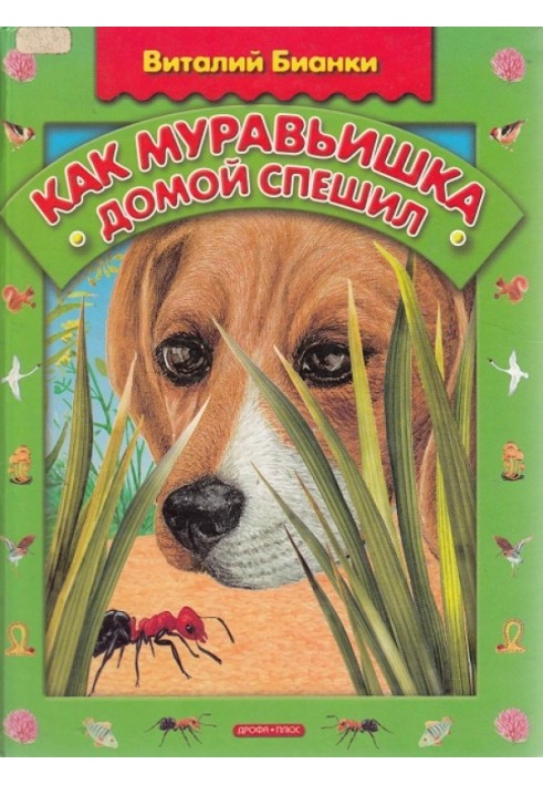 Книга Как муравьишка домой спешил