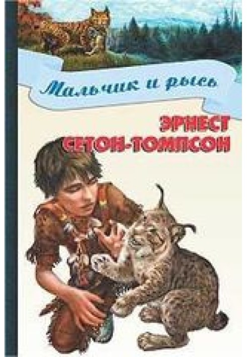Книга Мальчик и рысь