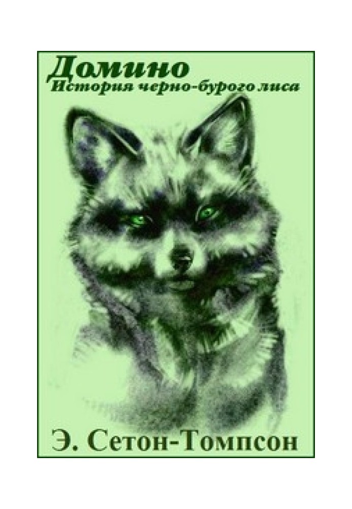 Книга Доміно