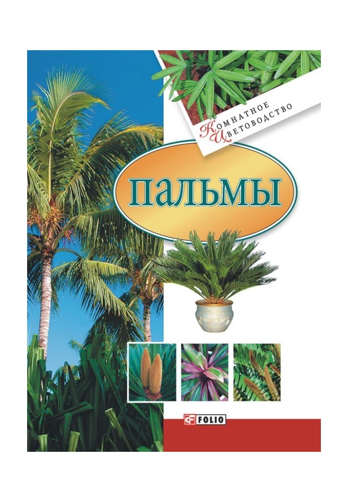 Книга Пальмы