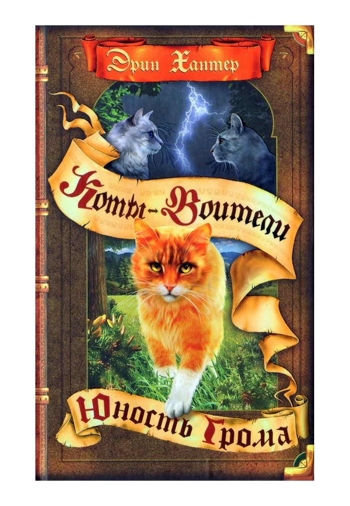 Book Youth of Thunder