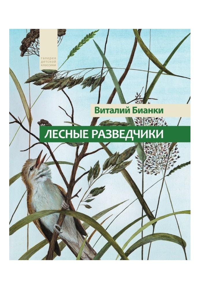 Book Forest Scouts
