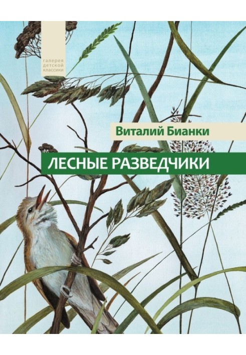 Book Forest Scouts