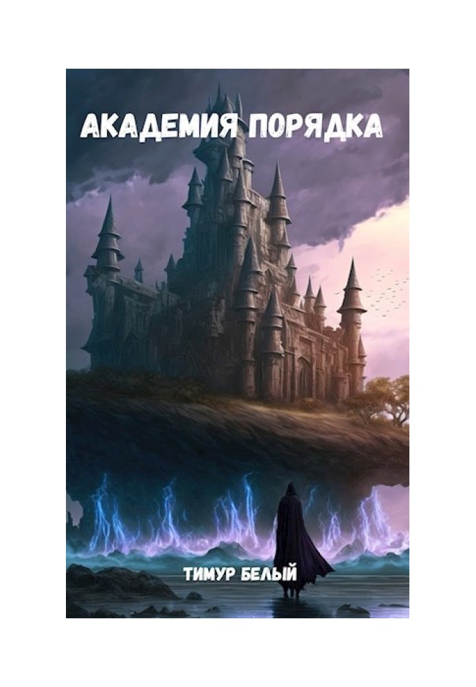 Книга Академія Порядку