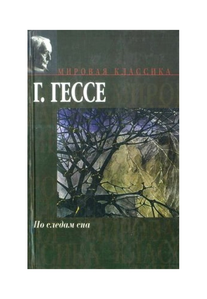 Книга По следам сна