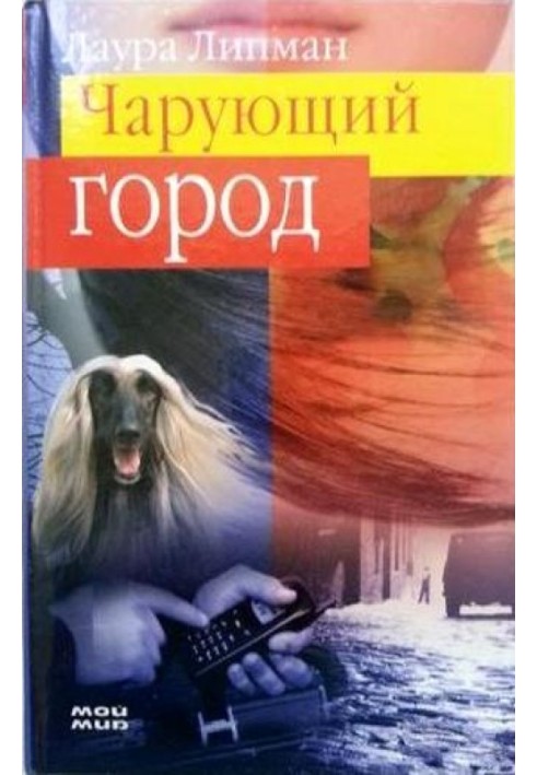 Книга Чарівне місто
