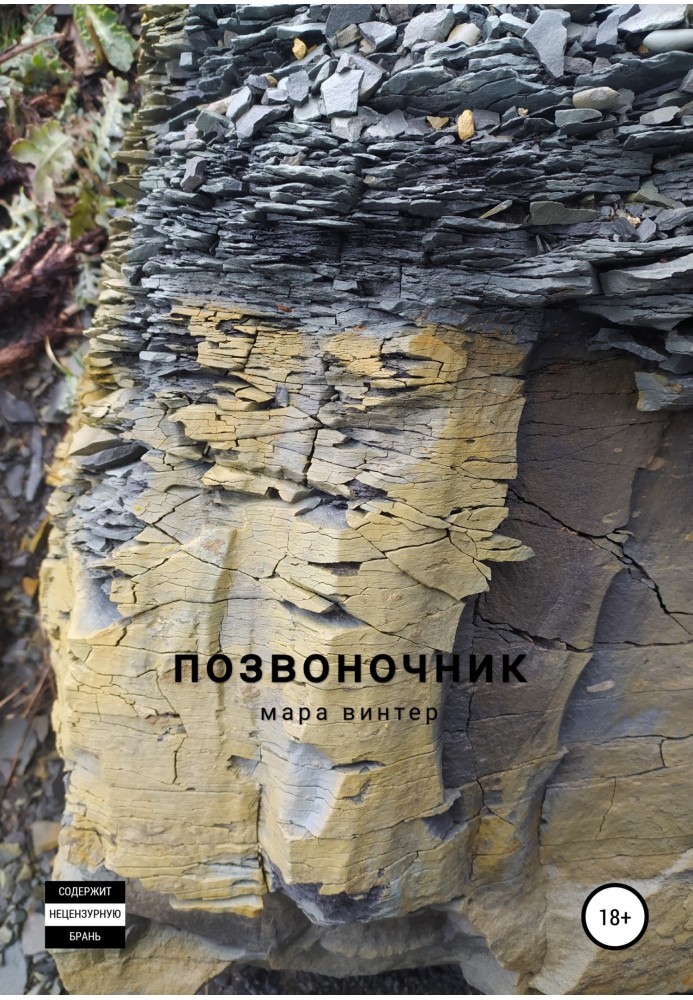Книга Позвоночник
