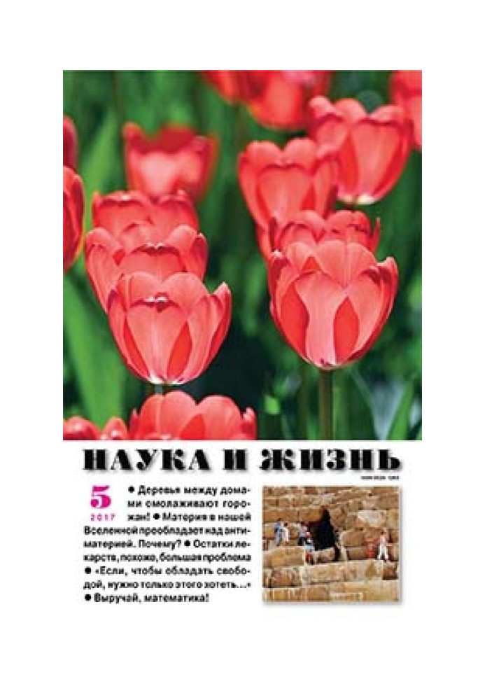 Книга Свой мир