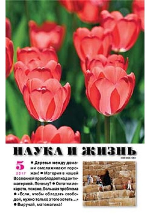 Книга Свой мир