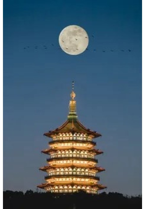 Книга Убежище