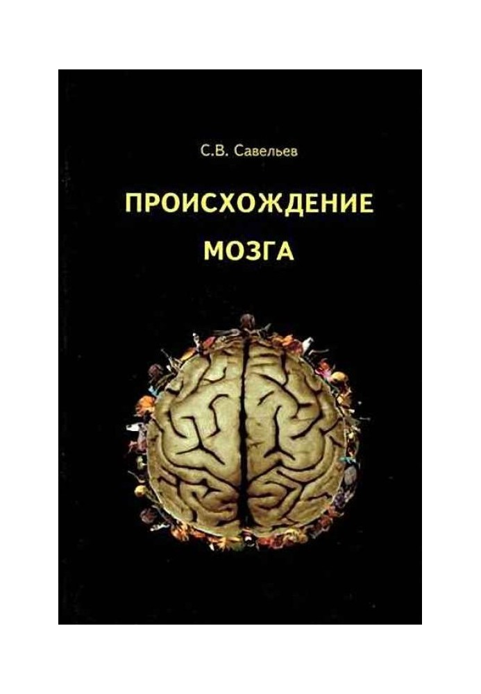 Книга Походження мозку