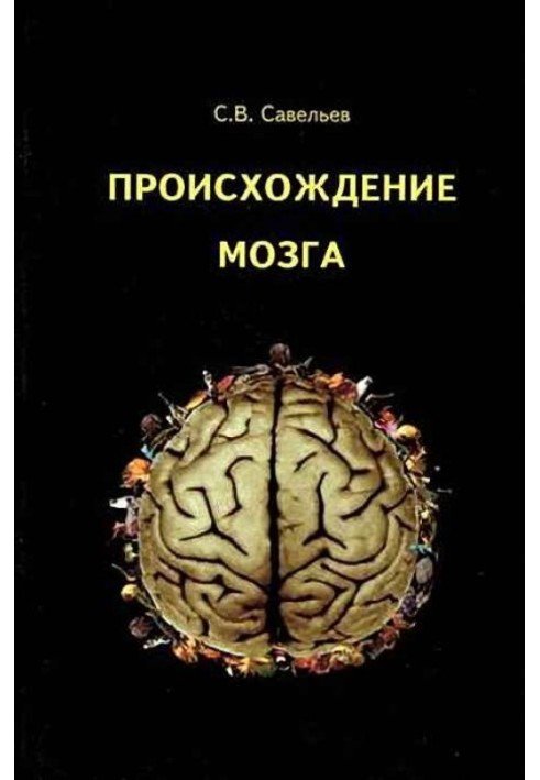 Книга Походження мозку