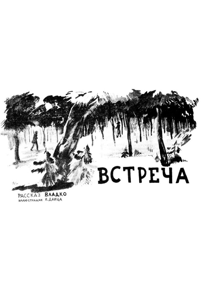 Книга Встреча