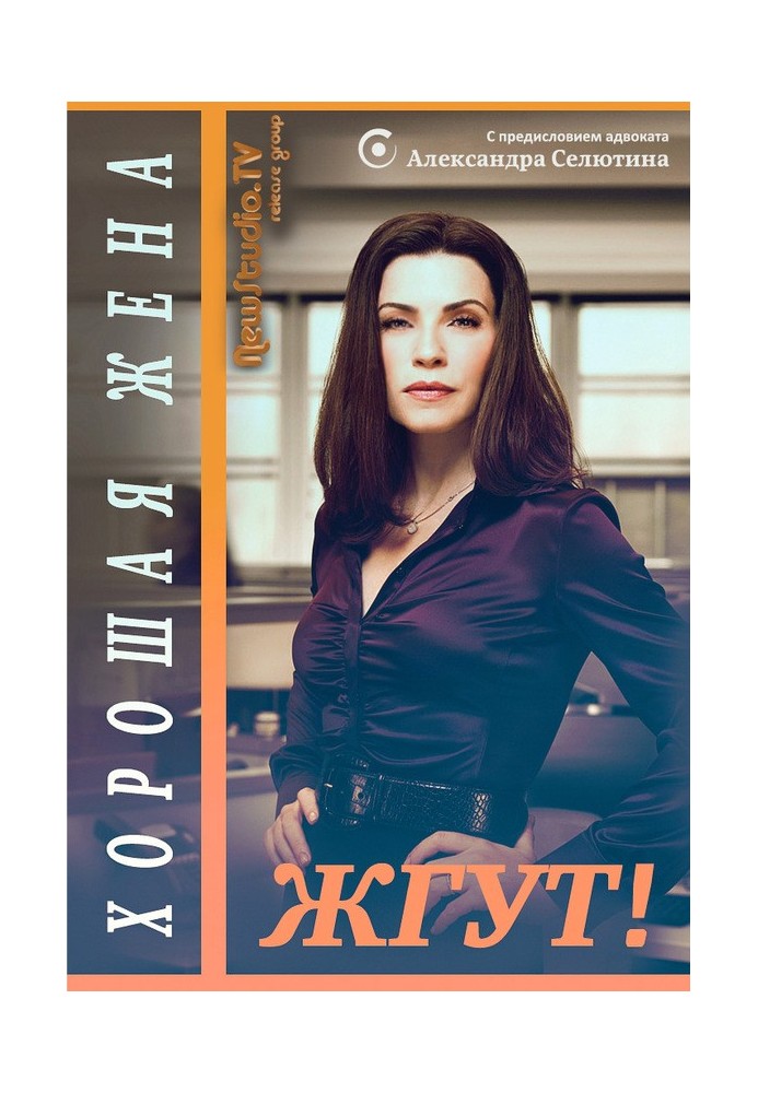Книга Гарна дружина (The Good Wife). Палять!