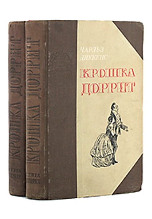 Book Little Dorrit. Book 1. – Poverty