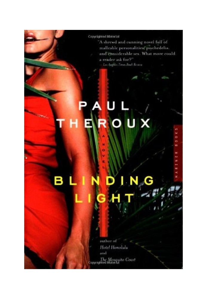 Book Blinding Light