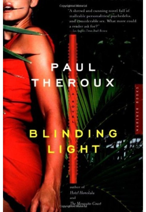 Book Blinding Light
