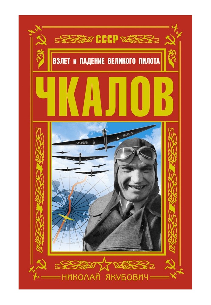 Книга Чкалов. Взлет и падение великого пилота