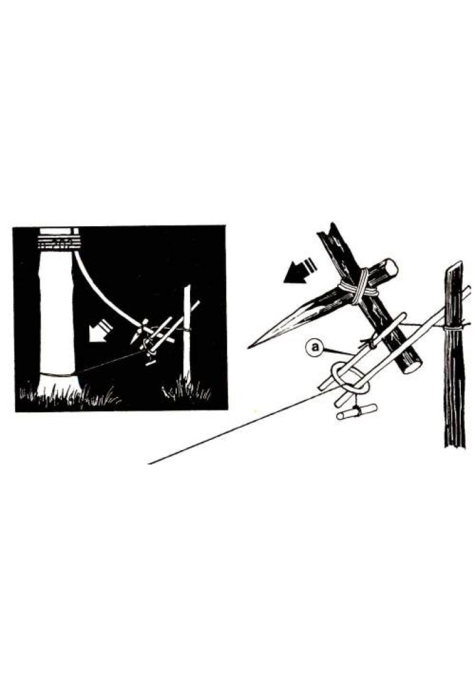 Book Piercing traps