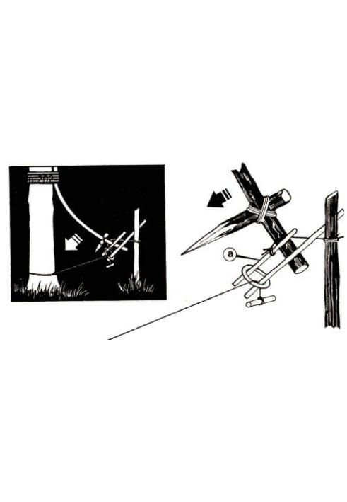 Book Piercing traps