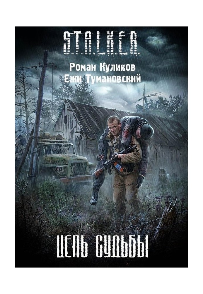 Книга Цепь судьбы