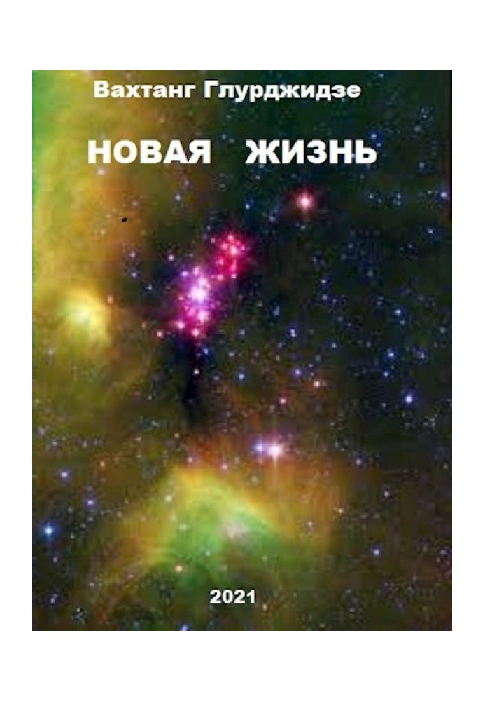 Книга Новая жизнь