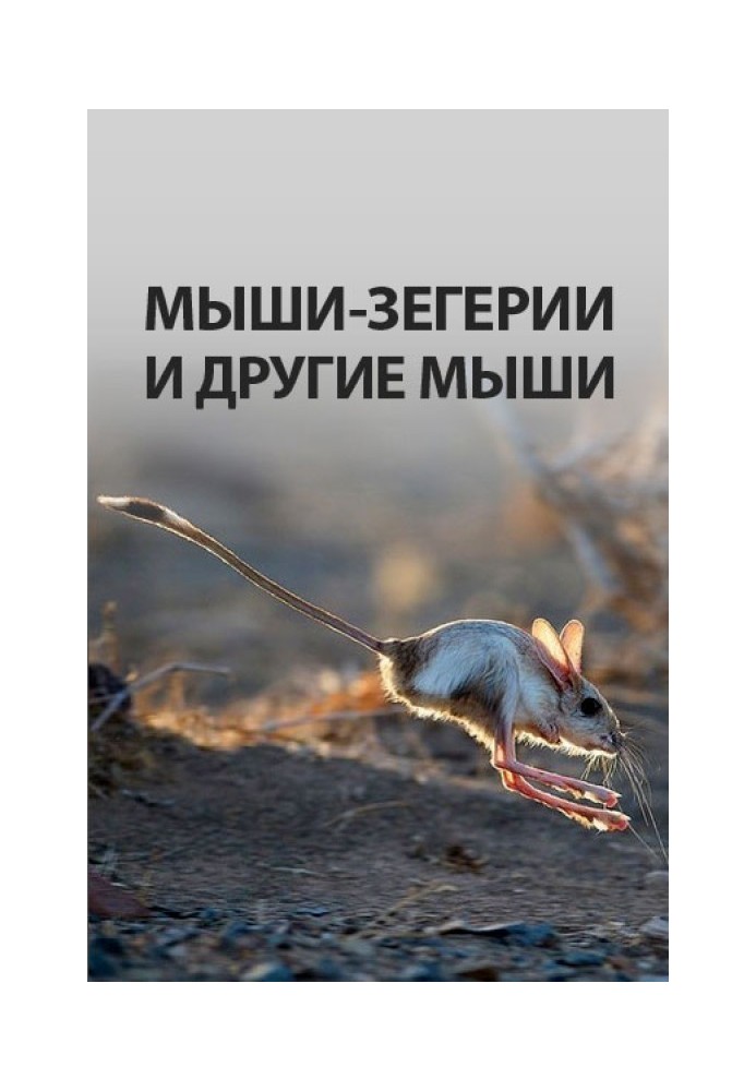 Book Zegeria and other mice