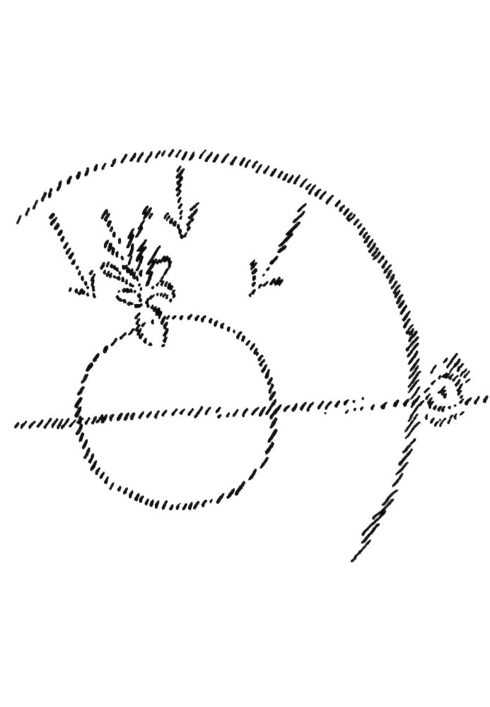 Book GA 235. Esoteric consideration of karmic connections. Volume I - Formation of Karmic Forces
