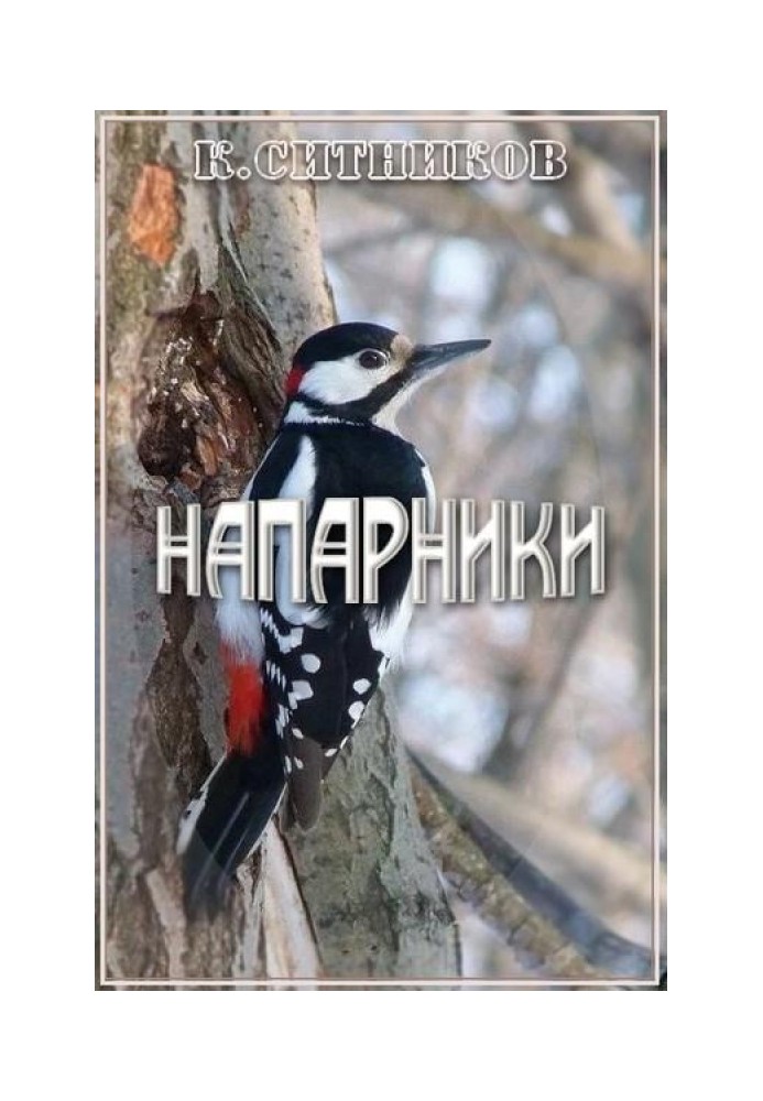 Книга Напарники