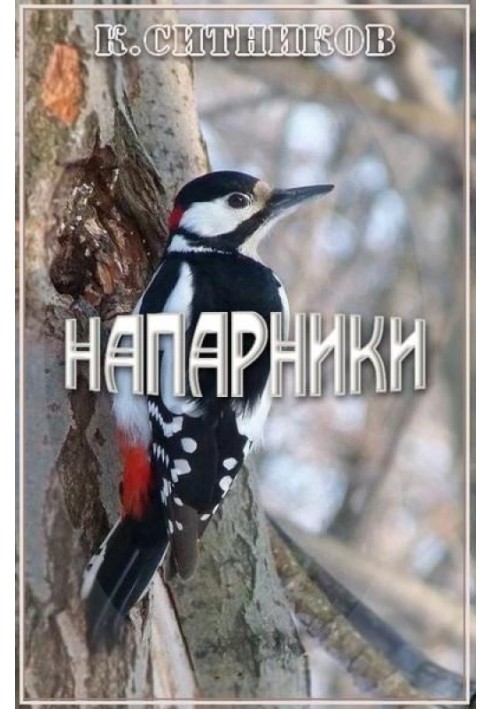 Книга Напарники